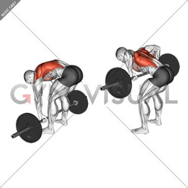 Barbell Pendlay Row