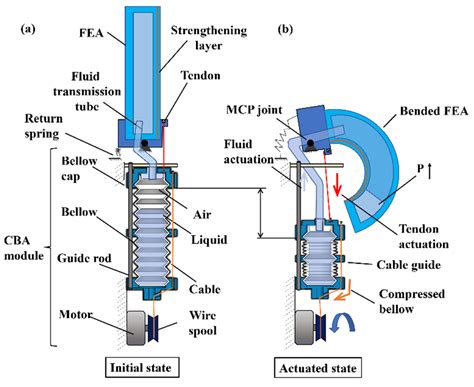 Biomimetics Free Full Text Double Acting Soft Actuator For Soft