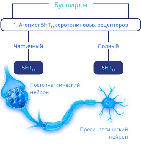 Спитомин