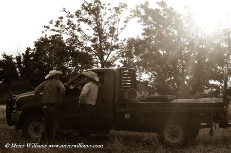 Photographic, Cowboys, Black and White Photography, cowboy horse quarter horse:- by Meier ...