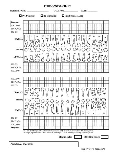 Perio Charting Form Printable