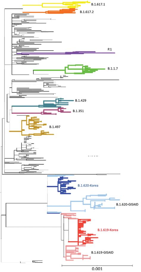 Figure Sars Cov B And B Lineages South Korea