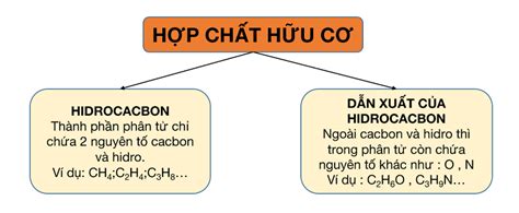 Sobitol Là Hợp Chất Hữu Cơ đa Chức Khám Phá ứng Dụng Và Lợi ích Tuyệt Vời