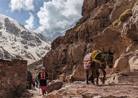 Top Photos Climbing Toubkal Morocco G Adventures