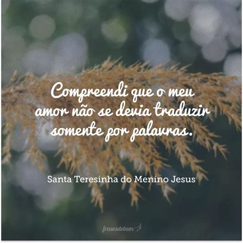 Frases De Santos Para Aprender Mais Sobre A Vida Em Santidade