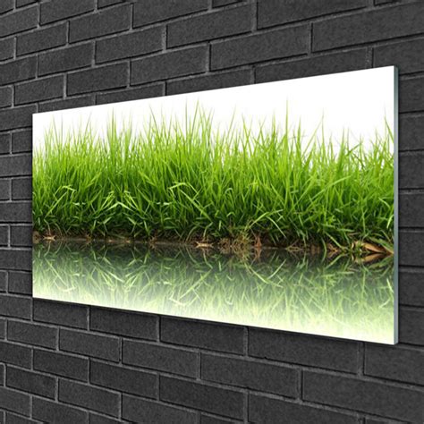 Brayden Studio Glasbild Nature Grass Wayfair De