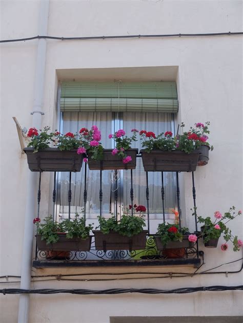 Pin By Laura On Patios Y Jardines Bellos Bloom Flowery Window Balcony