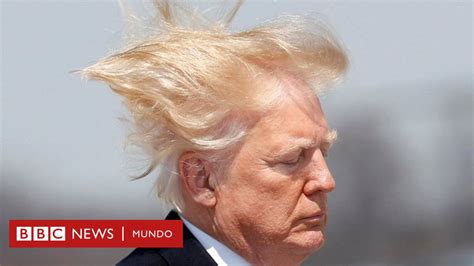 Mi Cabello Tiene Que Estar Perfecto Las Razones De Trump Para