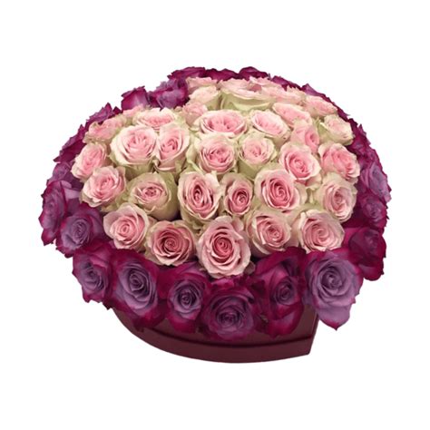 70 rosas en caja corazón Provocateur Roses