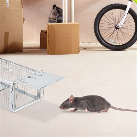 Buy Live Trap For Mice Rats Here