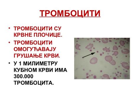 Krv i limfa