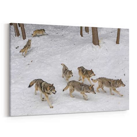 A Wolf Pack In Winter Canvas Wall Art | 365Canvas