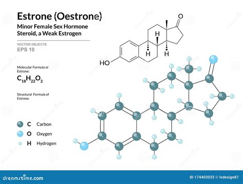 Hormone Estrone Oestrone Structural Chemical Formula And Molecule 3d Model Atoms With Color