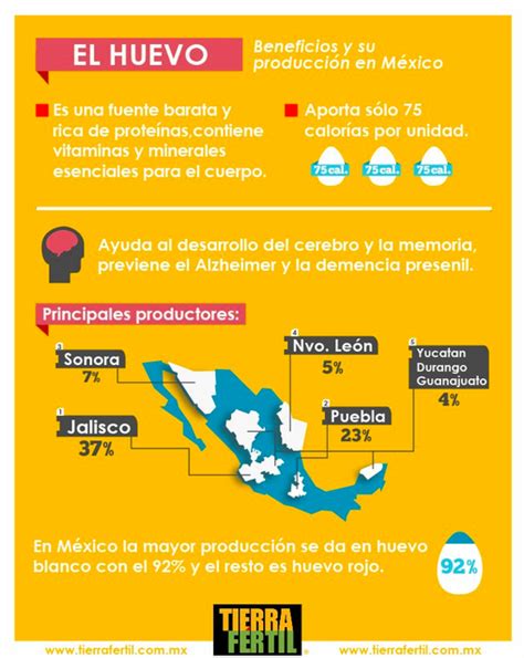 Producción de huevo en México Tierra Fertil