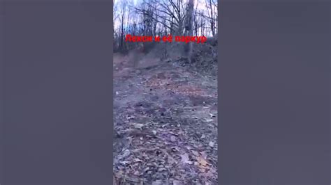 хасмут топ - YouTube