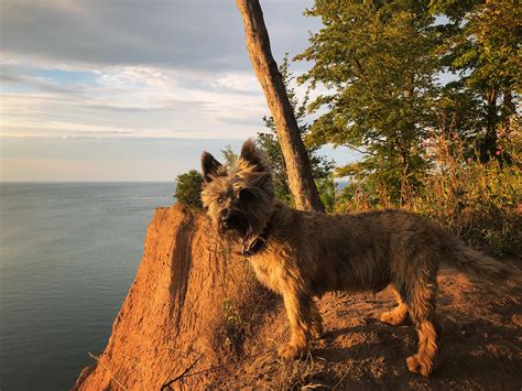 Summit of Chimney Bluffs trail with a view of Lake Ontario. Chimney