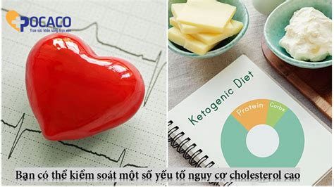 T Ng Lipid M U Ti U Ng Ki M So T Cholesterol Cao Khi B N B Ti U Ng