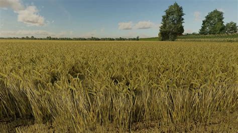 FS22 Wheat Texture V1 0 Farming Simulator 19 17 15 Mod