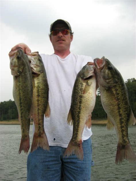 Lake Allatoona Guide Service-Atlanta Fishing Guide-Atlanta Bass Fishing