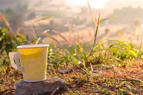 khao kho district foto foto foto stok potret gambar bebas royalti