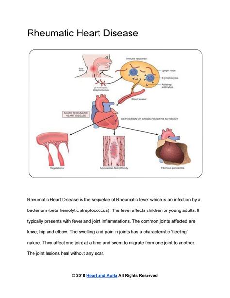 Heart And Aorta Rheumatic Valvular Disease Page 1 Created With