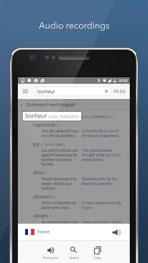 Dictionary Linguee APK for Android Download