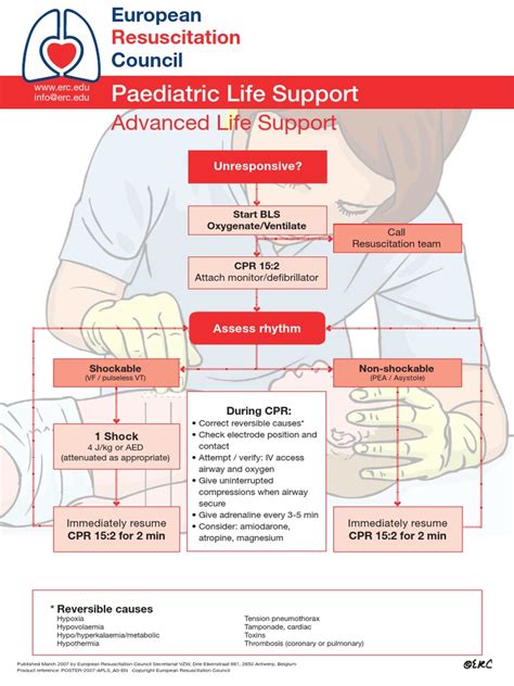 Advanced Paediatric Life Support A0 Pdf Pdf Cardiopulmonary