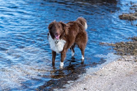 My Hot Beach Model R Aww