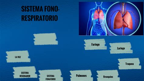 Sistema Respiratorio By Daniela Villarmea On Prezi