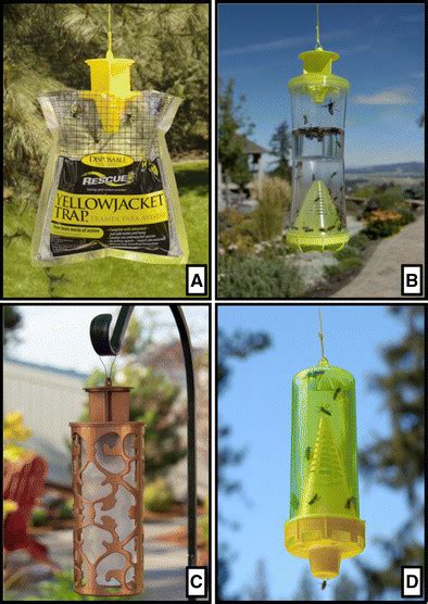 Sterling International Inc Traps Marketed For Social Wasps A Is The