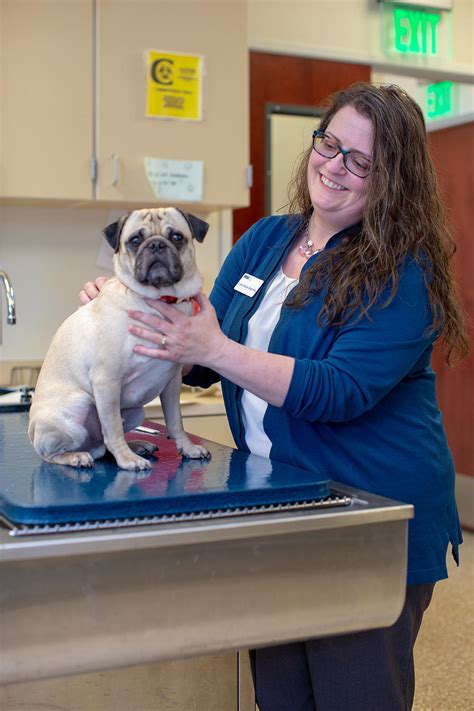 Vca Sacramento Veterinary Referral Center 9801 Old Winery Pl