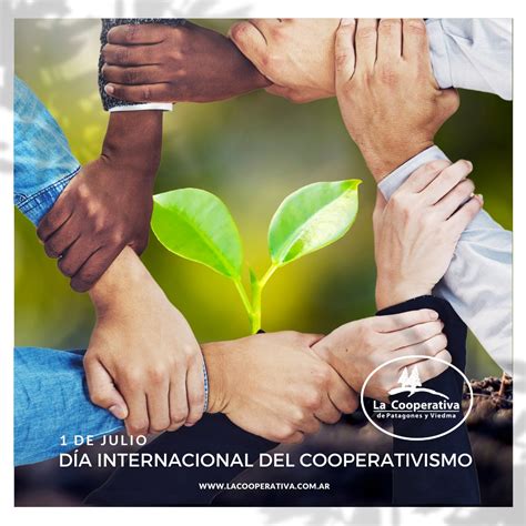 De Julio D A Internacional Del Cooperativismo Cooperativa De