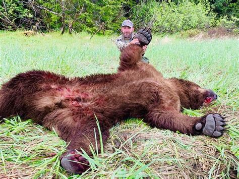 Alaska Gallery | Professional Big Game Hunting Guide JR Hunting