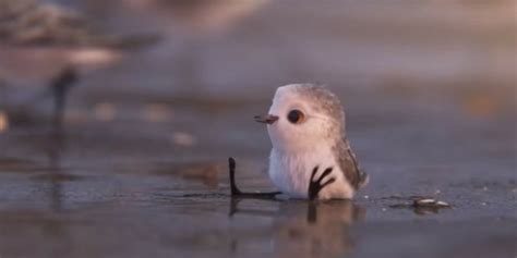 Pixar’s Short Film “Piper” Is an Adorably Sweet Tale About Overcoming ...