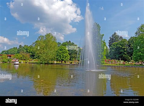 Zweibrucken rose germany hi-res stock photography and images - Alamy