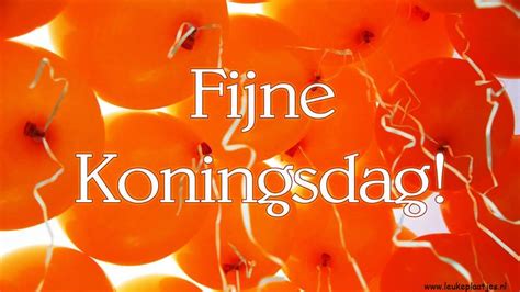 ᐅ fijne koningsdag humor Koningsdag Leukeplaatjes nl