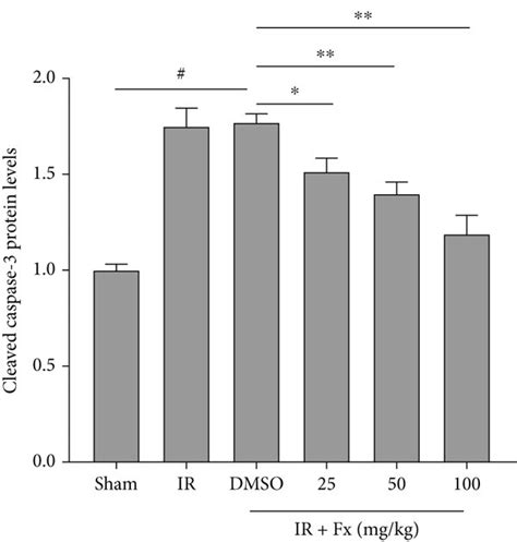 Fucoxanthin Inhibited ROS Levels And Attenuated Apoptosis In Mice After