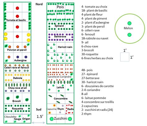 Planification Potager Biologique