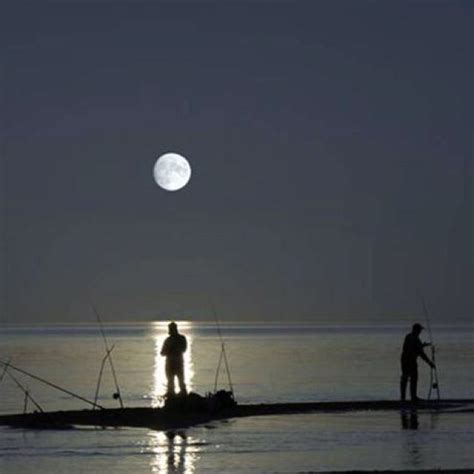 Fishing Moon Moonlight Photography Shoot The Moon Moonlight