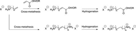 布朗斯台德酸掩蔽的烯基胺与丙烯酸的交叉复分解合成聚酰胺单体the Journal Of Organic Chemistry X Mol