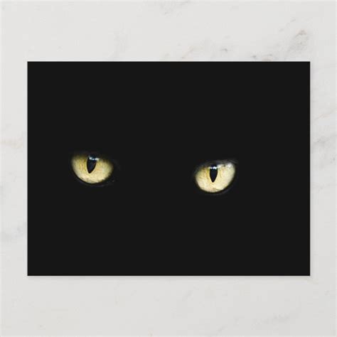 Halloween Black Cat Eyes Postcard | Zazzle