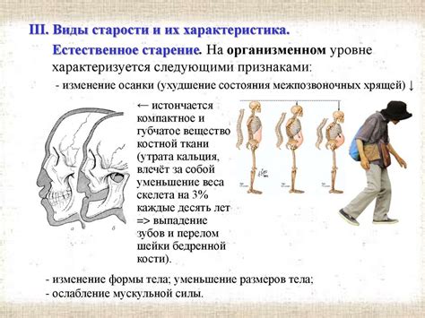 Проблемы геронтологии - презентация онлайн
