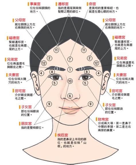 【面相】面相入門4看點，有無貴人看這邊 大檸檬好夥伴 鍵盤大檸檬 Ettoday新聞雲