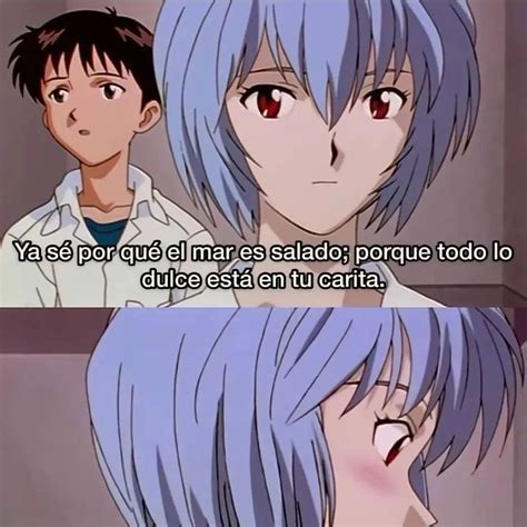 Pin De Portgas D Kira En Memesfrases Owo Memes Frases Otakus Frases