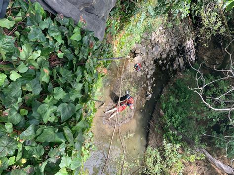 Today a Napa woman accidently... - Napa Police Department