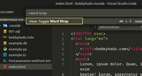 How To Generate Lorem Ipsum In Visual Studio Code Bobbyhadz