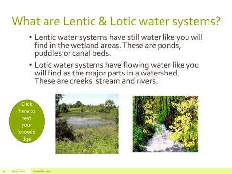 Ppt Watershed And Wetlands Powerpoint Presentation Free Download