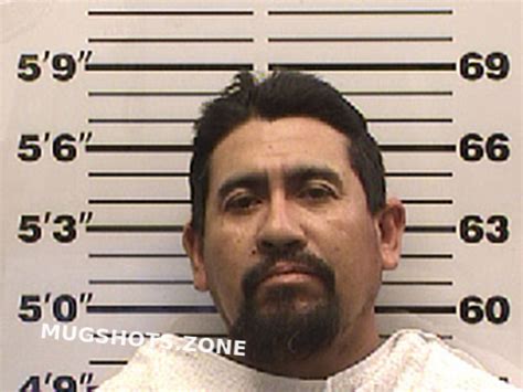 DIAZ ALEJANDRO 08 23 2022 Navarro County Mugshots Zone