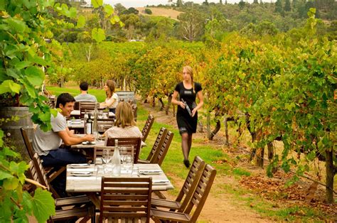 Adelaide Hills Winery Winery Tours Wine Tour Adelaide South Australia