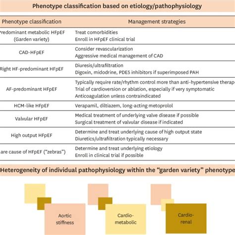 Phenotype Classification Of Hf With Preserved Ejection Fraction Based